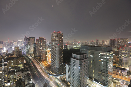 Southern Tokyo skyline as seen from World Trade Center photo