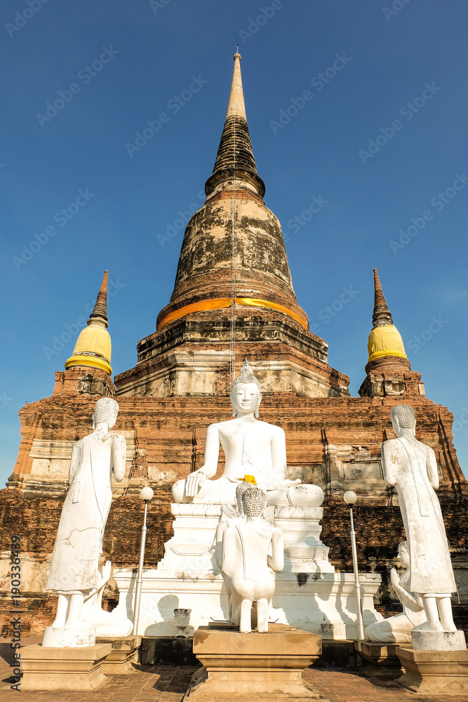 Fototapeta premium Worship of Thailand,Buddha statue,History of Thailand,Buddha statue Temple of Ayutthaya Province. Ayutthaya Historical Park, Thailand