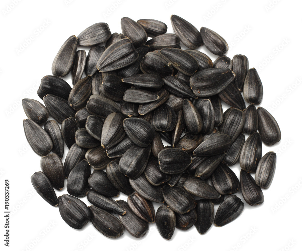 sunflower seeds isolated on white background. top view sunflower seeds isolated on white background. top view