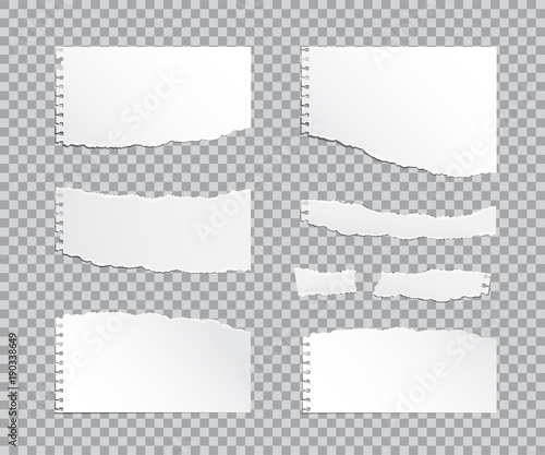 Set of vector realistic torn paper pieces isolated on transparent background.