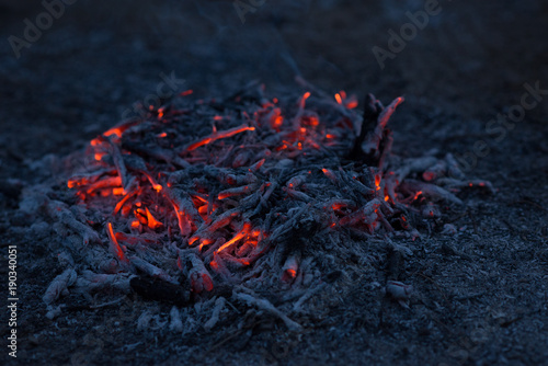 Smoldering ashes of a bonfire