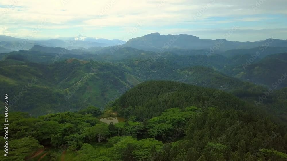 Flying above beautiful lush green jungle with palm trees at sunset drone footage Flying above beautiful lush green jungle with palm trees at sunset drone footage
