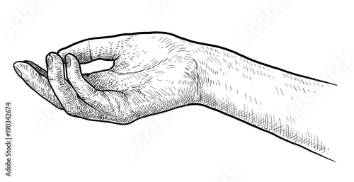 Palm up hand illustration, drawing, engraving, ink, line art, vector