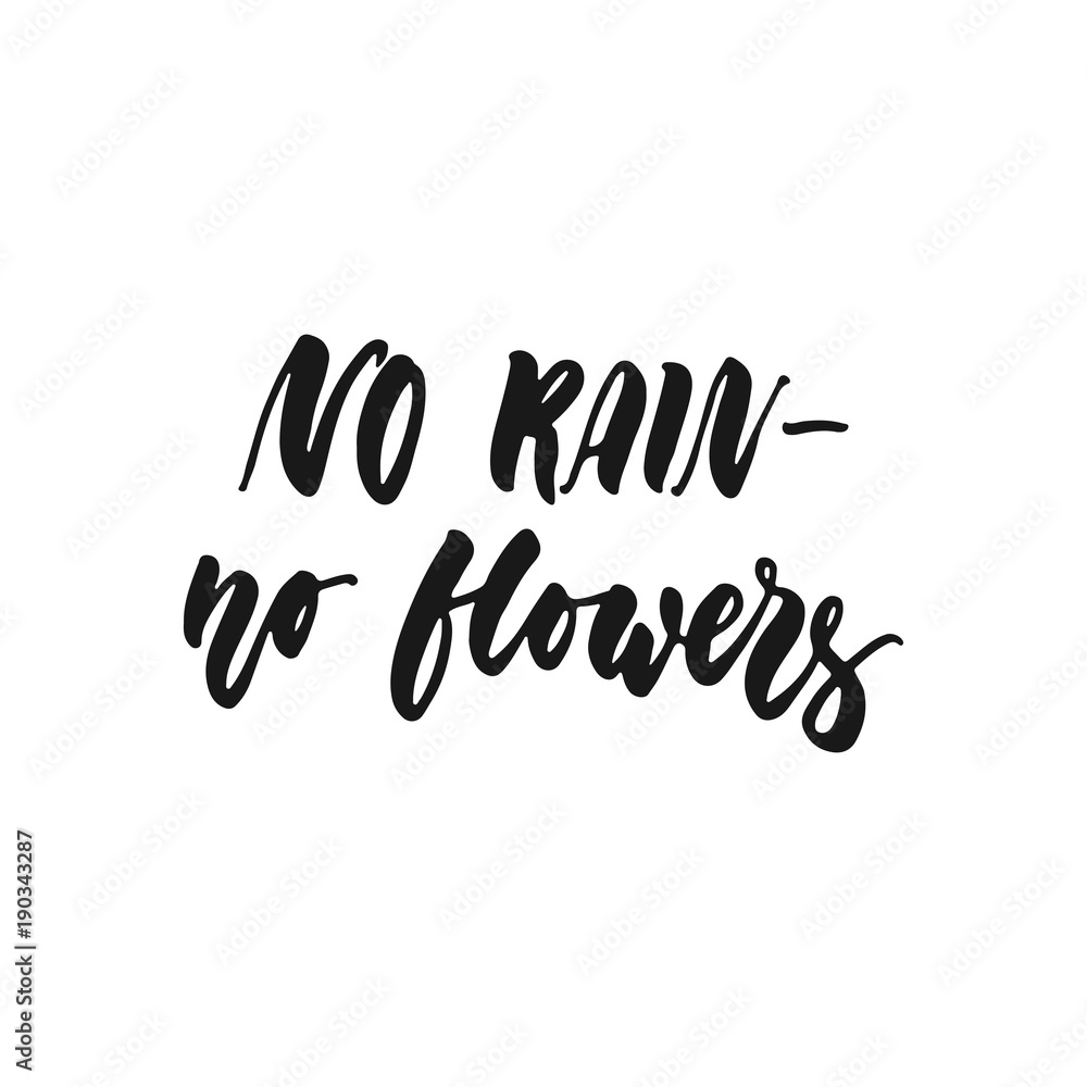 No rain - No flowers - hand drawn lettering phrase isolated on the white background. Fun brush ink inscription for photo overlays, greeting card or print, poster design.