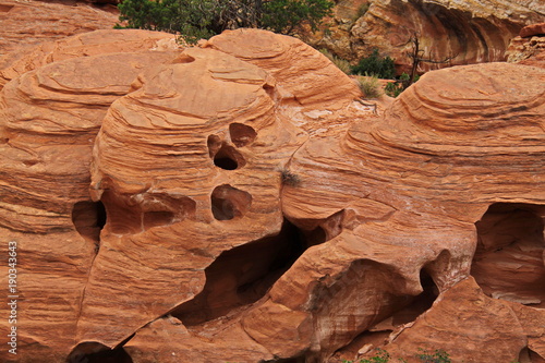 Rock formation on Cohab Canyon Trail in Capitol Reef NP in Utah in the USA
 photo