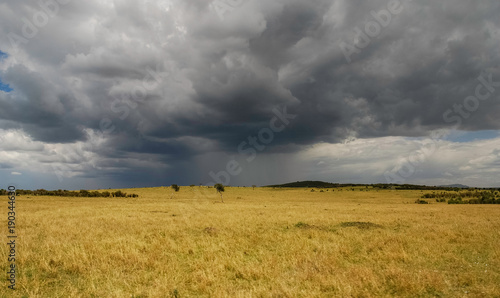 Savannah in Masai Mara National Reserve, Kenya