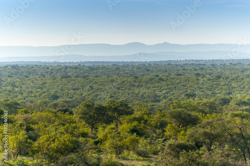 Kruger National Park, Mpumalanga, South Africa