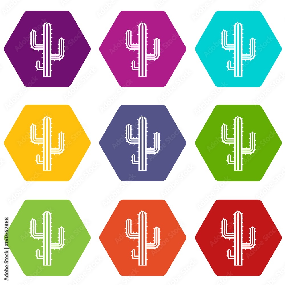 Cactus icon set color hexahedron Cactus icon set color hexahedron