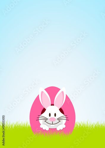 Front Easter Bunny Hiding In Egg Meadow Pink/White