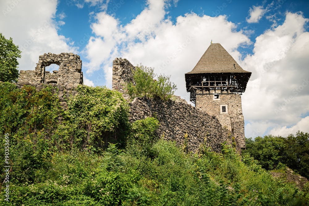 Fototapeta premium Ruins of the Nevitsky castl. The castle was built in the 13th century.