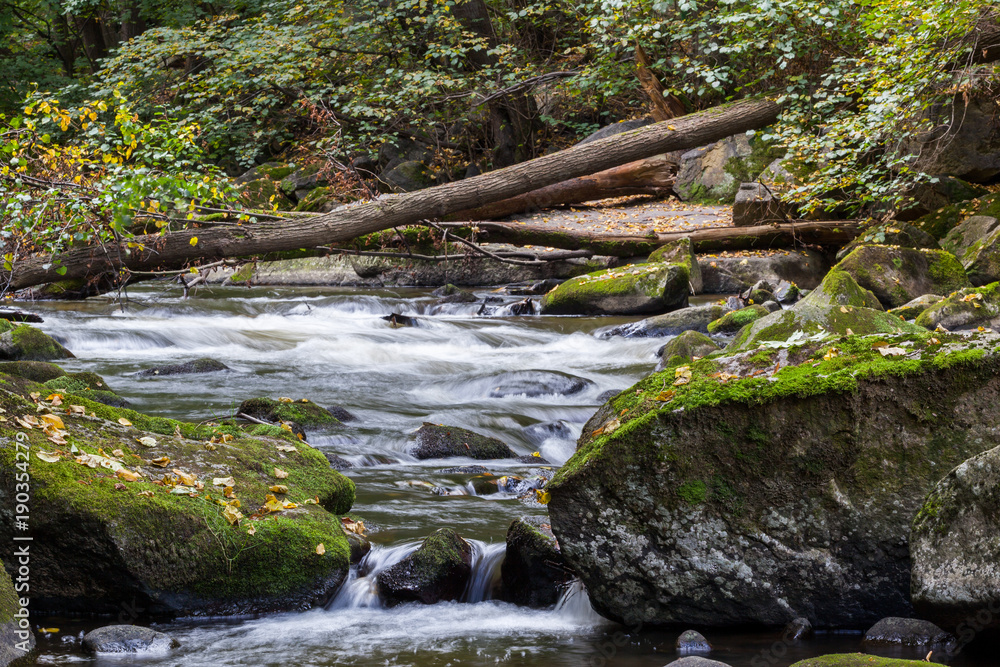 Fototapeta premium Bode im Harz Flusslandschaft