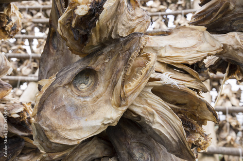 Foto overview of racks for drying stockfish in Svolvaer at Lofoten in Norway