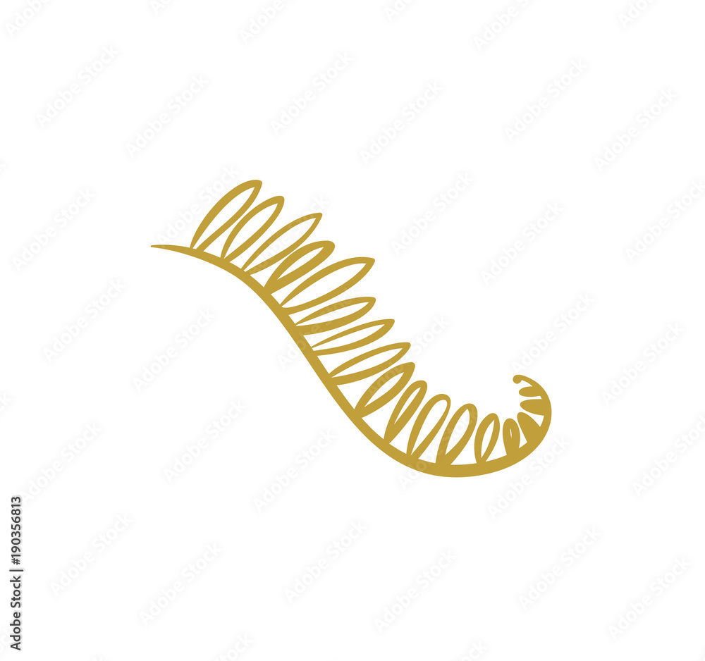 Doodle hand drawn palm branch with leaves on white Doodle hand drawn palm branch with leaves on white