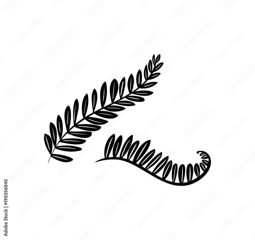 Doodle hand drawn palm branches with leaves Doodle hand drawn palm branches with leaves