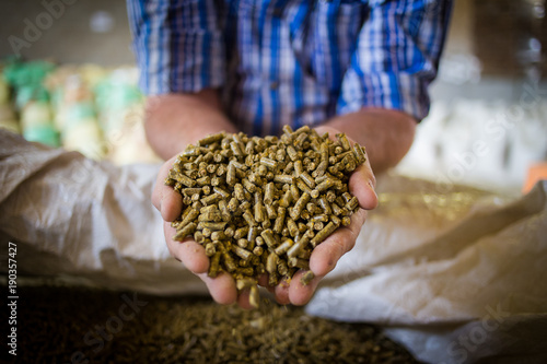 Close up image of hands holding animal feed at a stock yard photo
