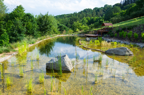 Fototapeta Naklejka Na Ścianę i Meble -  Natural swimming pond or natural swimming pool - NSP - purifying water without chemicals through biological filters and plants
