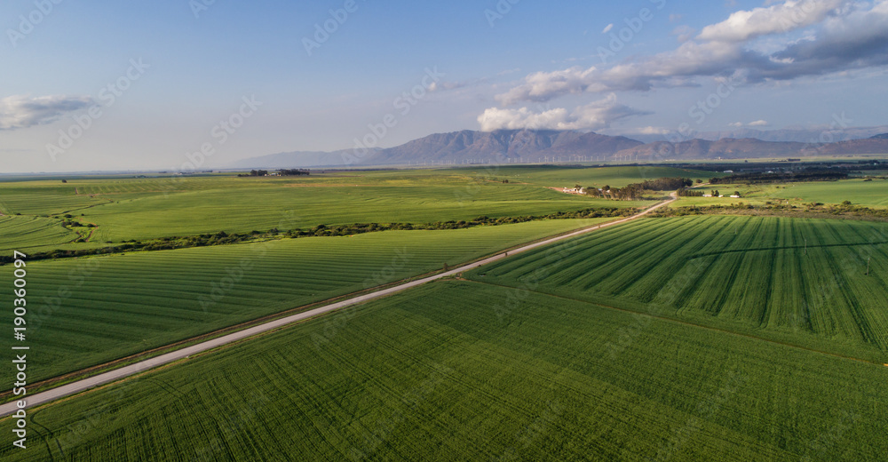 Aerial photo over a green wheat field in the Swartland in the western cape of South Africa Aerial photo over a green wheat field in the Swartland in the western cape of South Africa