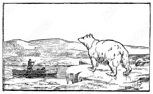 Bär beobachtet Boot - Bear is watching a boat