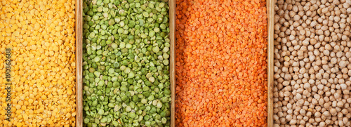 Quadro su tela Family of beans panorama