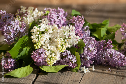 May Flowers. White And Purple Lilac Flowers On Wooden Table In Sunny Spring Day Close Up.