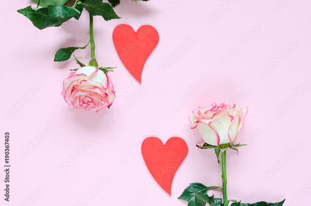 Two pink blooming rose flower and two red hearts on pink background colorful hearts