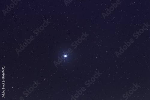 Quadro su tela Sirius Brightest star on Night sky. Sirius Star.