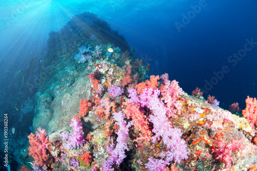 Wonderful and beautiful underwater world with coral reef landscape background in the deep blue ocean with colorful fish and marine life