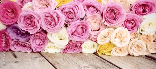 Rosenstrauß - Hintergrund P...