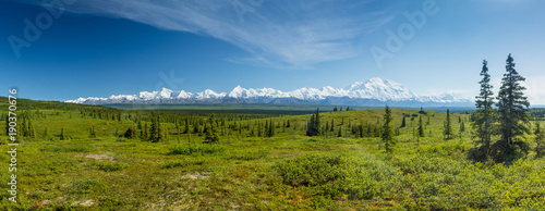 panoramic view of Denali Range in Denali National Park, Alaska photo