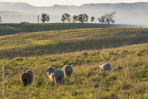Idyllic countryside landscape of Batovi Hill, Tacuarembo in north-central Uruguay