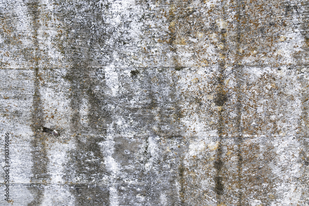 Obraz premium Bricks wall texture