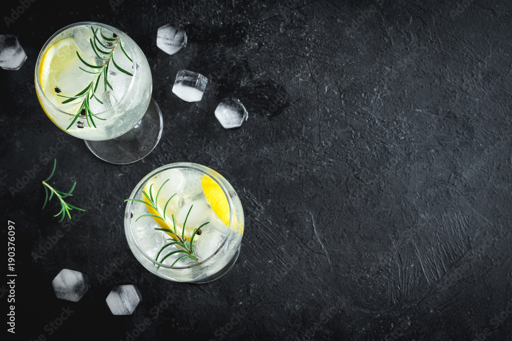 Gin and tonic cocktail - obrazy, fototapety, plakaty 