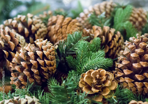 natural cones cedar fir symbol christmas winters, background festive texture