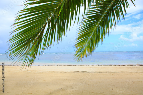 Caribbean sea and palm leaves. Travel background.