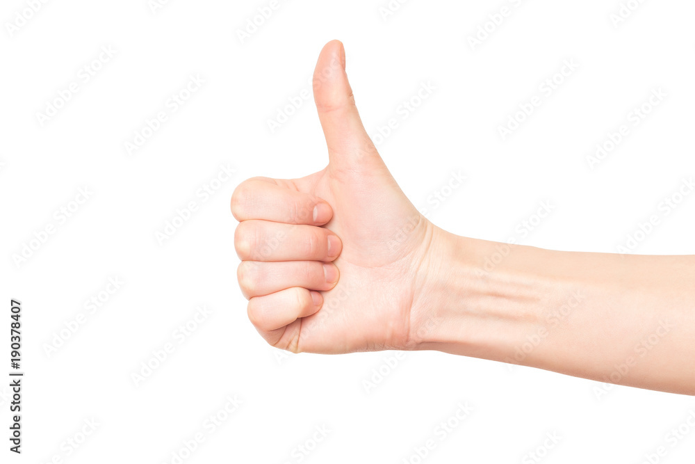 Mockup of right female hand with thumb up gesturing success isolated at white background. Mockup of right female hand with thumb up gesturing success isolated at white background.