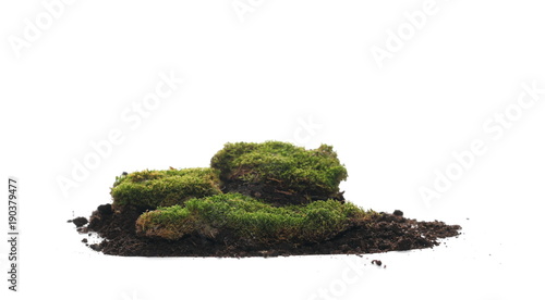 Green moss and dirt pile isolated on white background, with clipping path