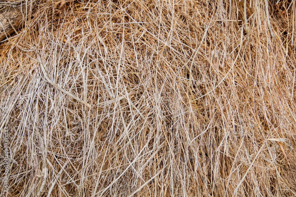 haystack texture haystack texture