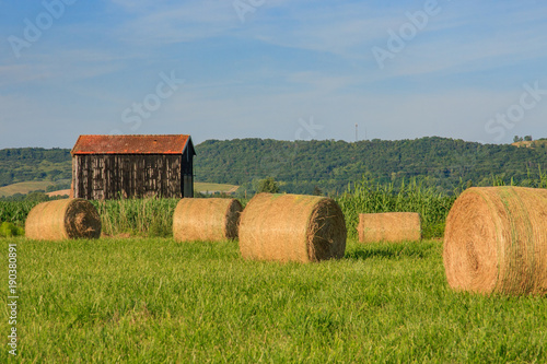 Hay Bales