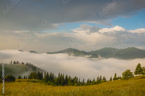 Early morning in the mountains. green slope overgrown with grass and flowers, fog between the mountains in the valley. beautiful morning summer view.   © Ann Stryzhekin