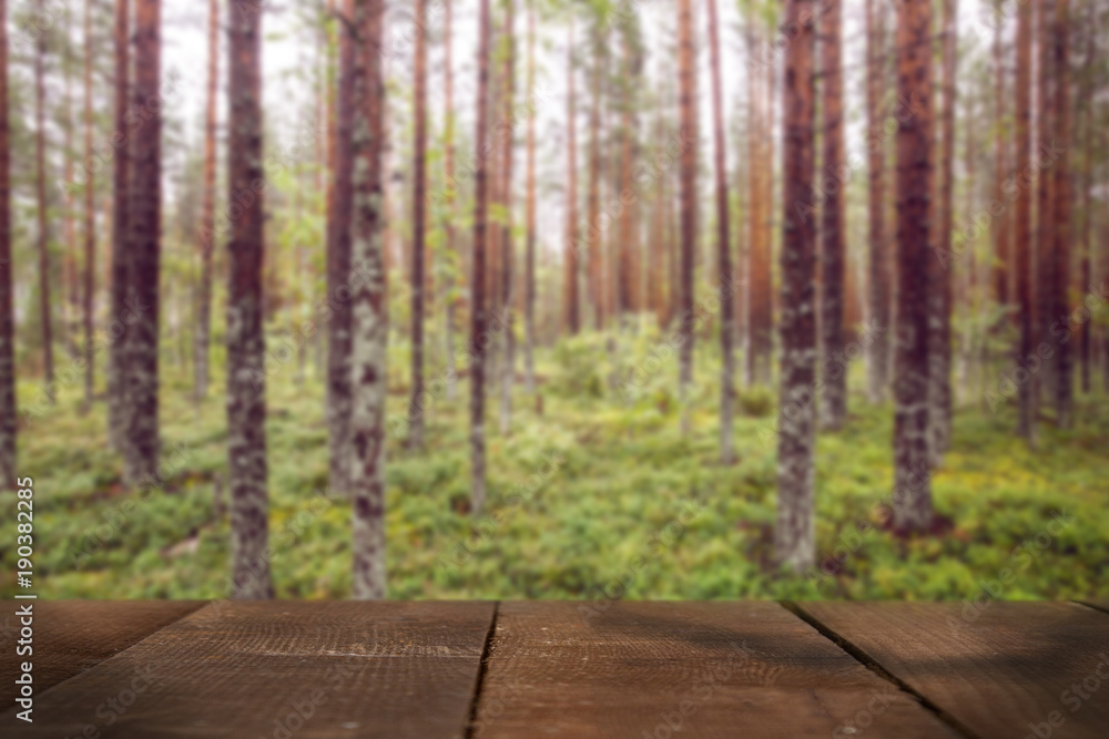 Obraz premium Nature blurred background