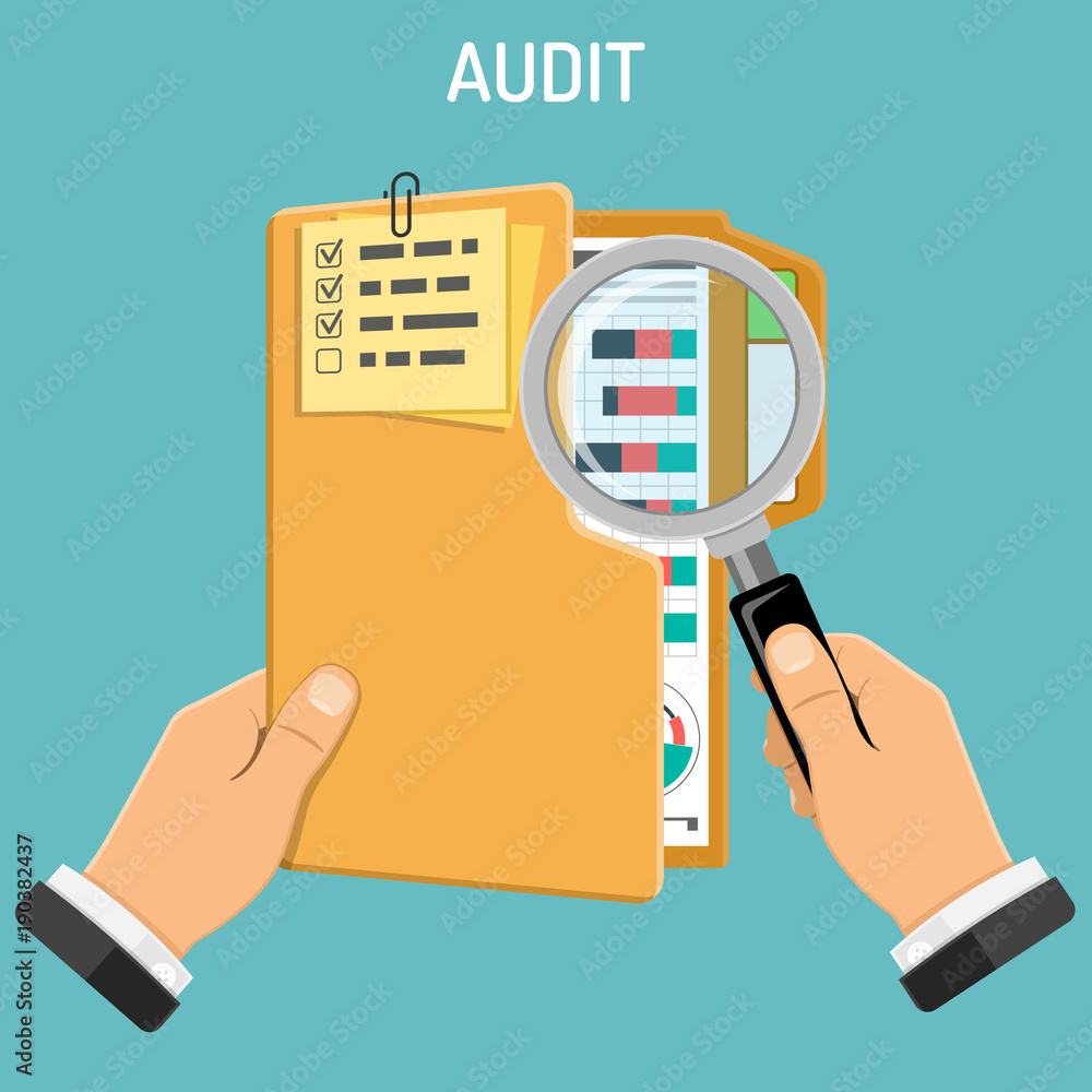 Auditing, Tax process, Accounting Concept Auditing, Tax process, Accounting Concept