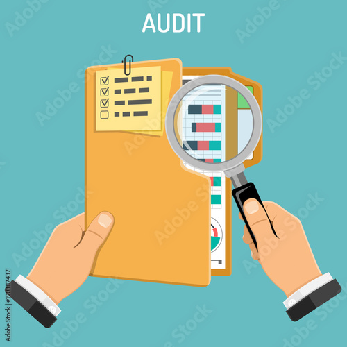 Auditing, Tax process, Accounting Concept