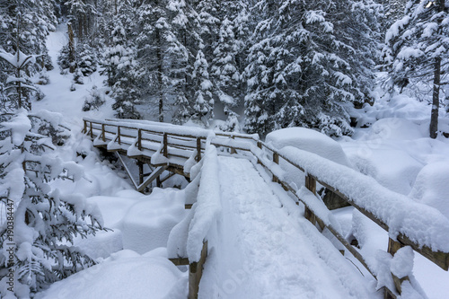 A bridge in a winter mountain forest. Tatra Mountains.