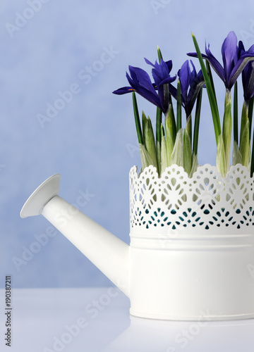 Fototapeta Naklejka Na Ścianę i Meble -  spring floral composition