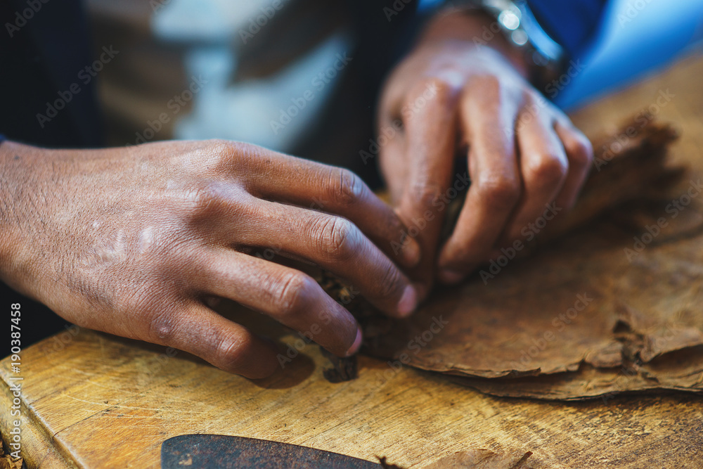 Process of making traditional cigars from tobacco leaves with own hands using a mechanical device and press. Process of making traditional cigars from tobacco leaves with own hands using a mechanical device and press.