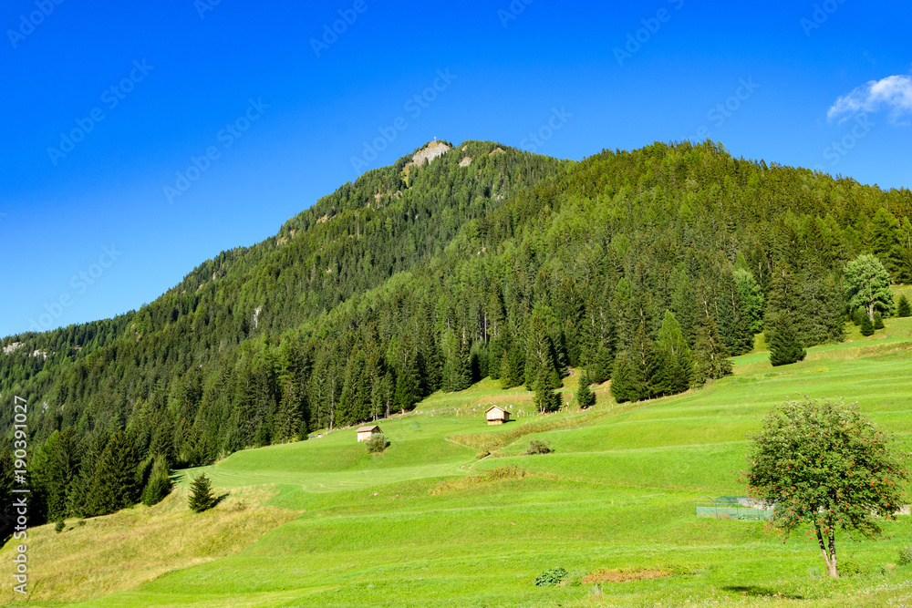 alpejska łąka w Dolomitach