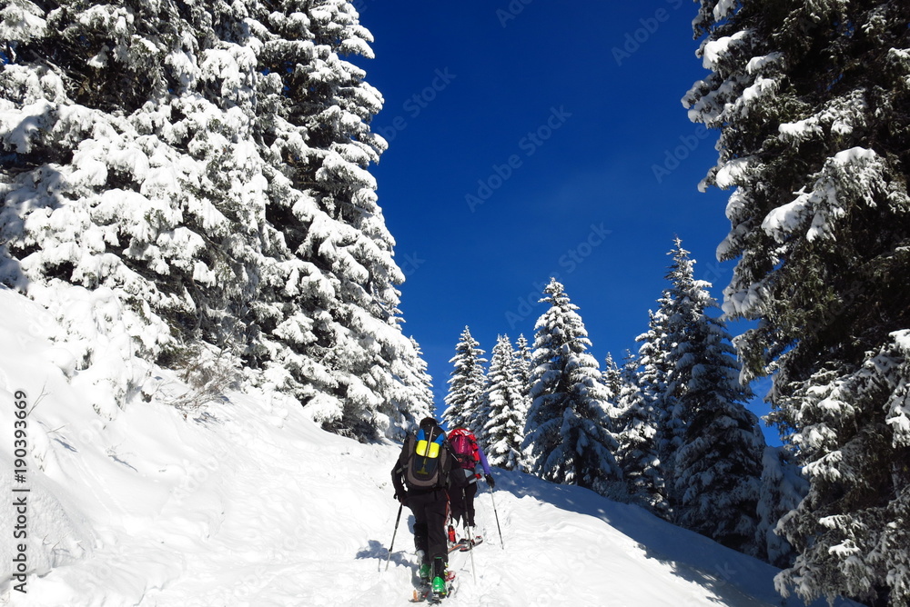 ski de rando dans les alpes sous la neige