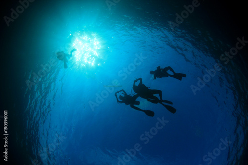 Scuba divers swim over coral reef © Richard Carey