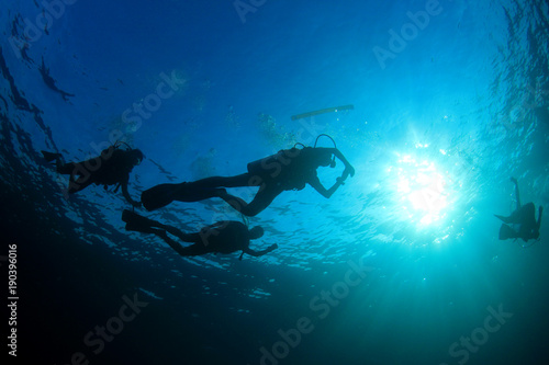 Scuba divers swim over coral reef © Richard Carey