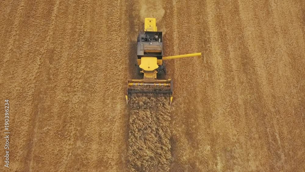 An aerial of a machine harvesting grain in Zeeland, the Netherlands. An aerial of a machine harvesting grain in Zeeland, the Netherlands.